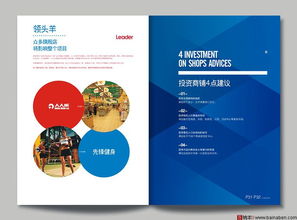 布魯卡卡馮房產(chǎn)畫冊設計 融合創(chuàng)意與科技的軟件開發(fā)實踐