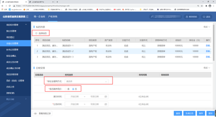 山東省公共資源交易中心資產(chǎn)處置交易系統(tǒng)（文物拍賣(mài)）用戶操作手冊(cè)（代理機(jī)構(gòu)/出讓人版）